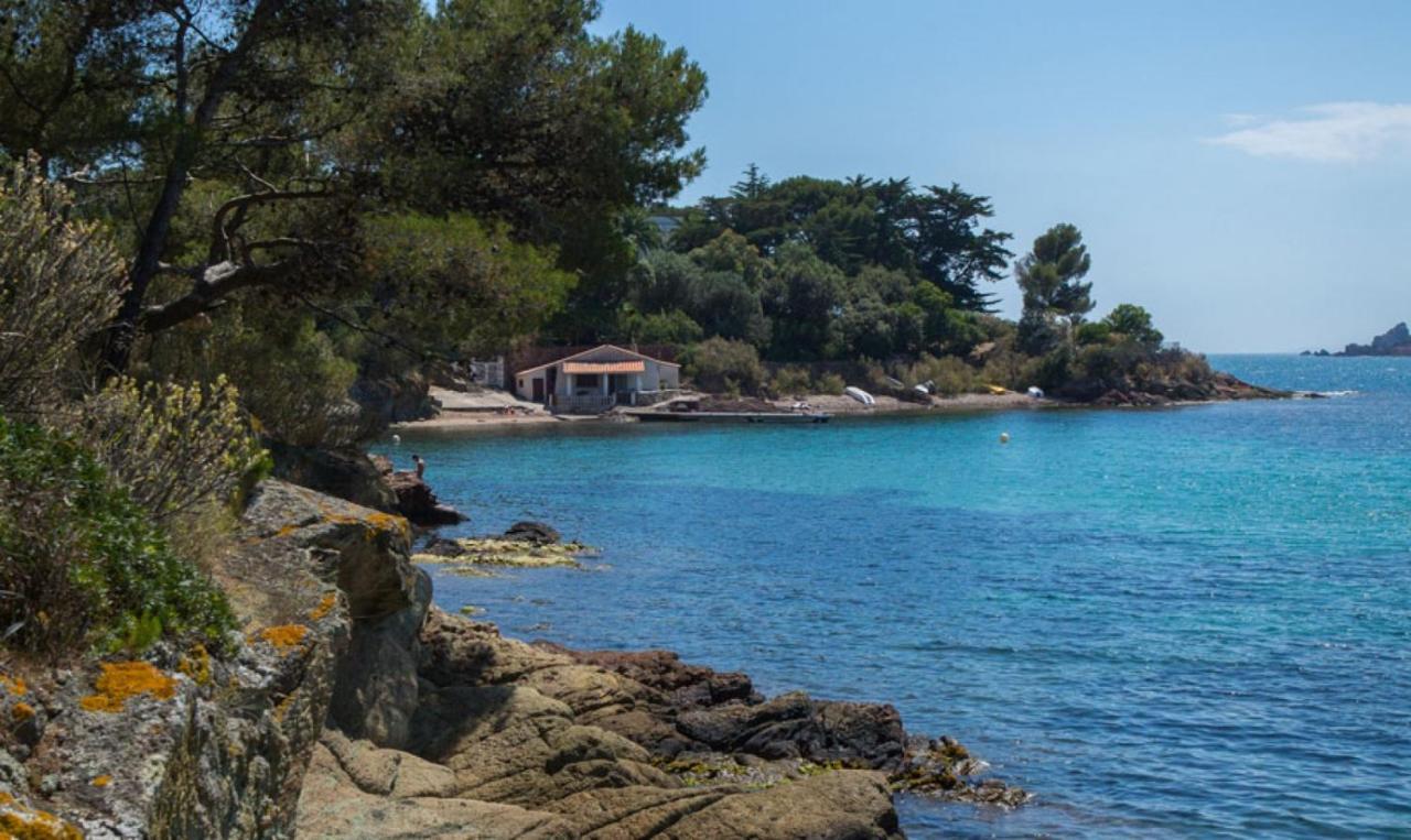 Saint-Raphaël Agay Le Pti Bonheur 60M2 Rez De Jardin, En Bord De Mer מראה חיצוני תמונה